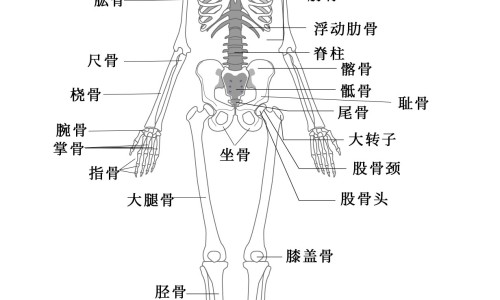 鸽子和桂圆一起炖有什么营养-权威桂圆炖鸽子最忌三种东西平台,分享专业桂圆炖鸽子最忌三种东西知识_肉桂桂圆红枣炖鸽子功效网